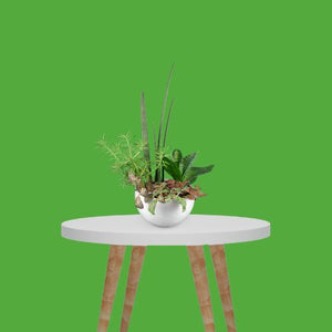 Backdrops & Stands
