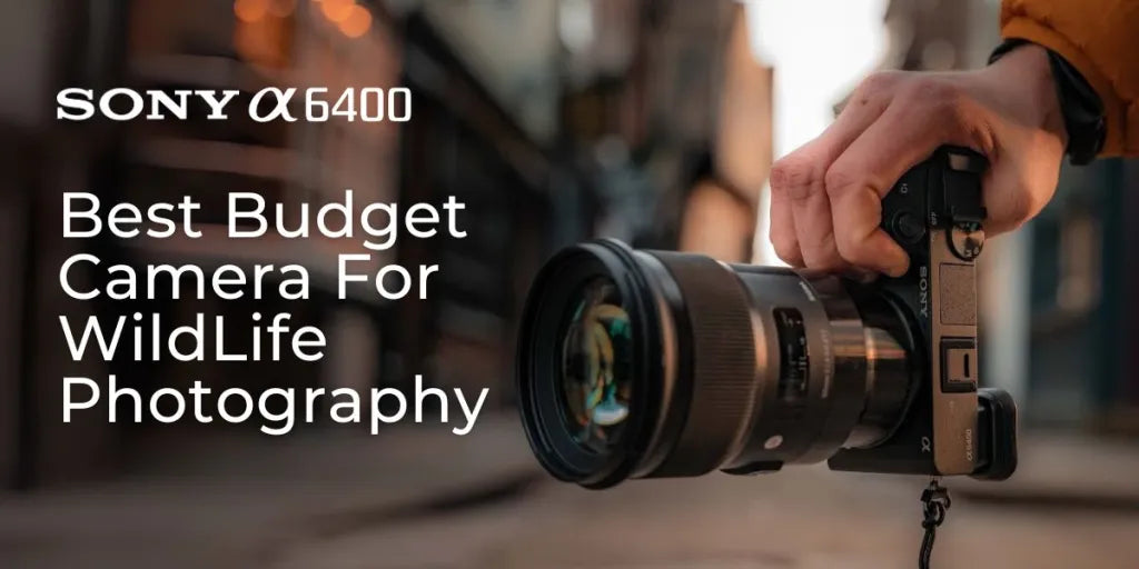 Best Budget Camera For WildLife Photography | Sony A6400