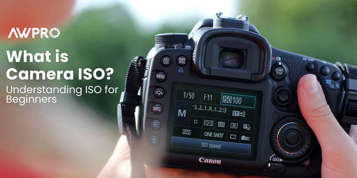 What is Camera ISO? Understanding ISO for Beginners