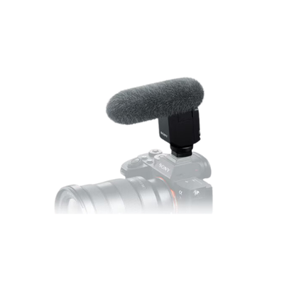 Camera Microphones