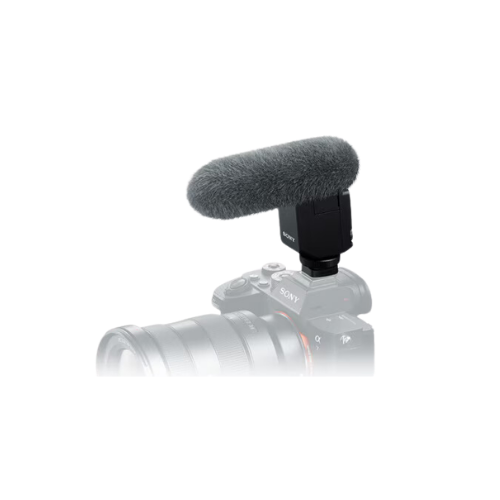 Camera Microphones