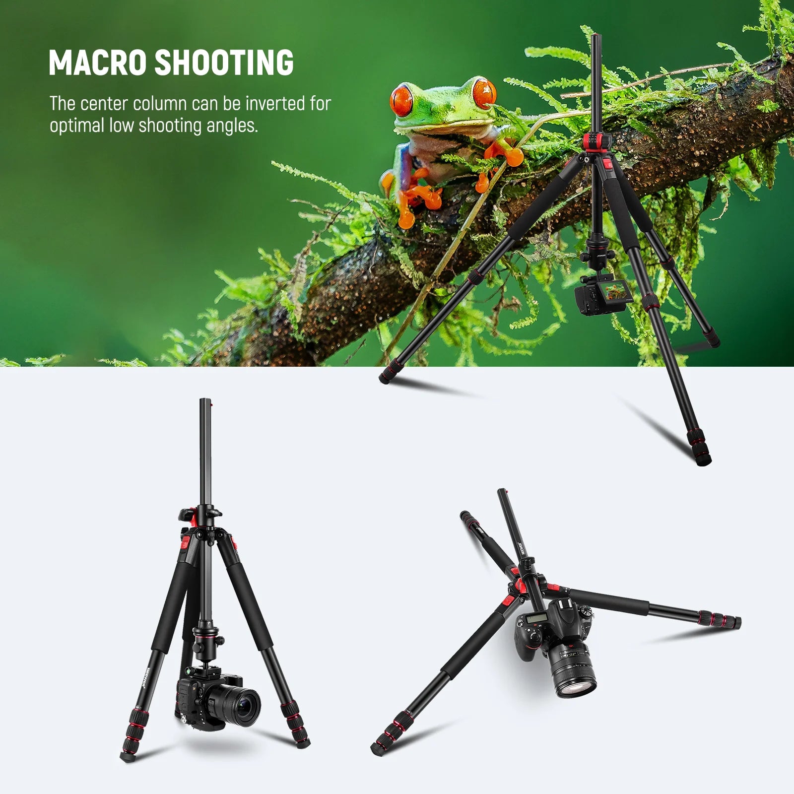 NEEWER 79'' Aluminum Alloy Camera Monopod Tripod N284L+G0