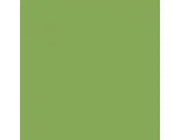 BD SEAMLESS VERI GREEN BACKDROP 2.72 X 11M BD132A1