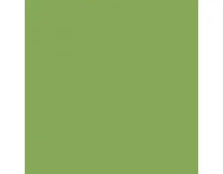 BD SEAMLESS VERI GREEN BACKDROP 2.72 X 11M BD132A1