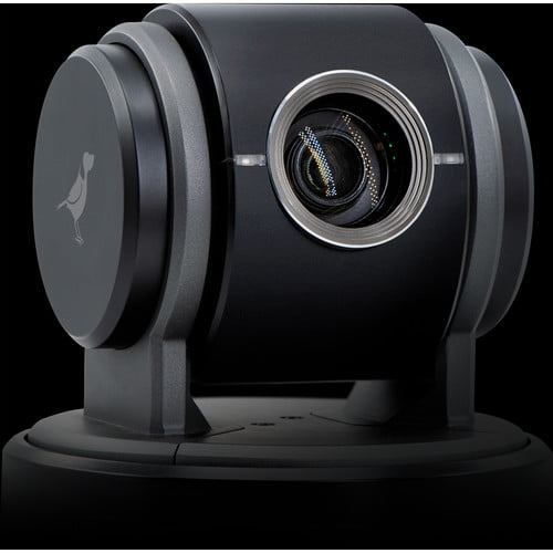 BirdDog Eyes P100 1080p Full NDI PTZ Camera (Black)