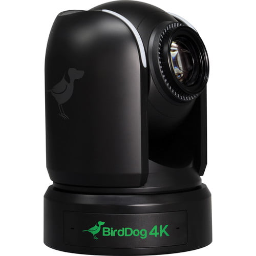 BirdDog P4K 4K Full NDI PTZ Camera with 1"" Sony Sensor (Black)
