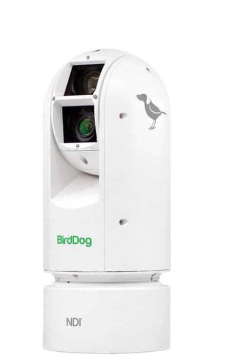 BirdDog Eyes A300 1080p Full NDI PTZ Camera (White)