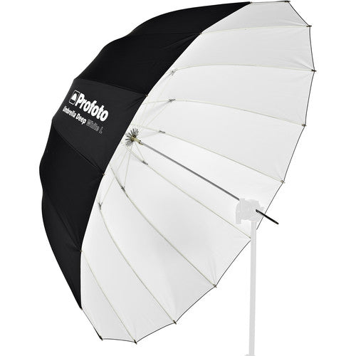 Profoto Sal Cincotta B10 Duo Kit