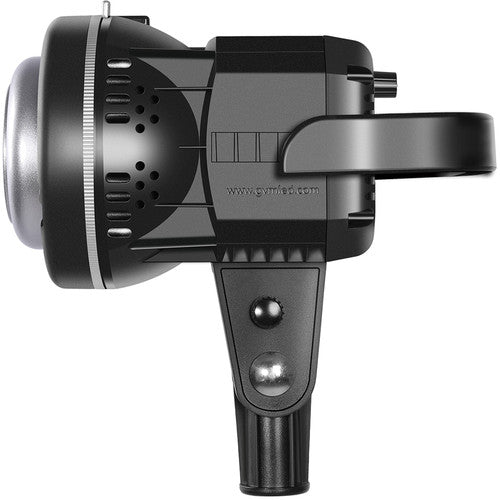 GVM LS-P80S-2D LED 2-Light Kit with Filters
