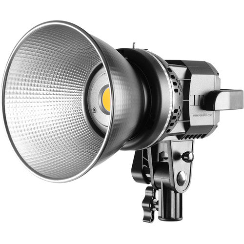 GVM LS-P80S-2D LED 2-Light Kit with Filters