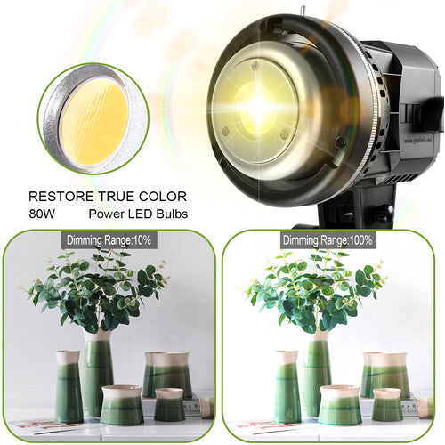 GVM LS-P80S-2D LED 2-Light Kit with Filters