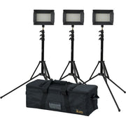 ikan iLED312-v2 3-Point Light Kit