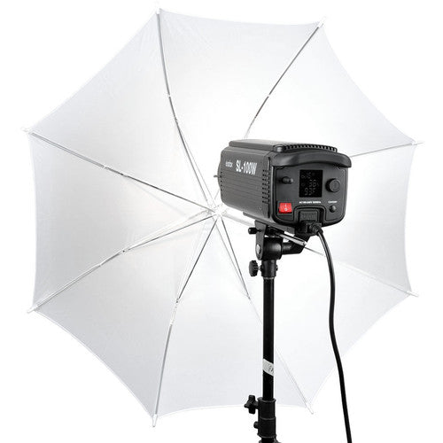 Godox SL-100 LED Video Light (Daylight-Balanced)