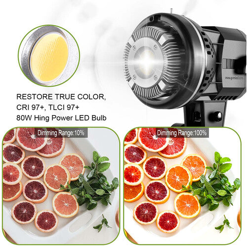 GVM LED Video Soft Light (Daylight-Balanced) LS-p80s LED 1-Light Kit with Softbox