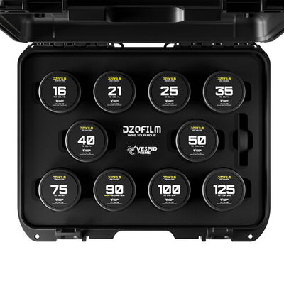 DZOFilm VESPID Prime Cine 10-Lens Kit (PL and EF Mounts)