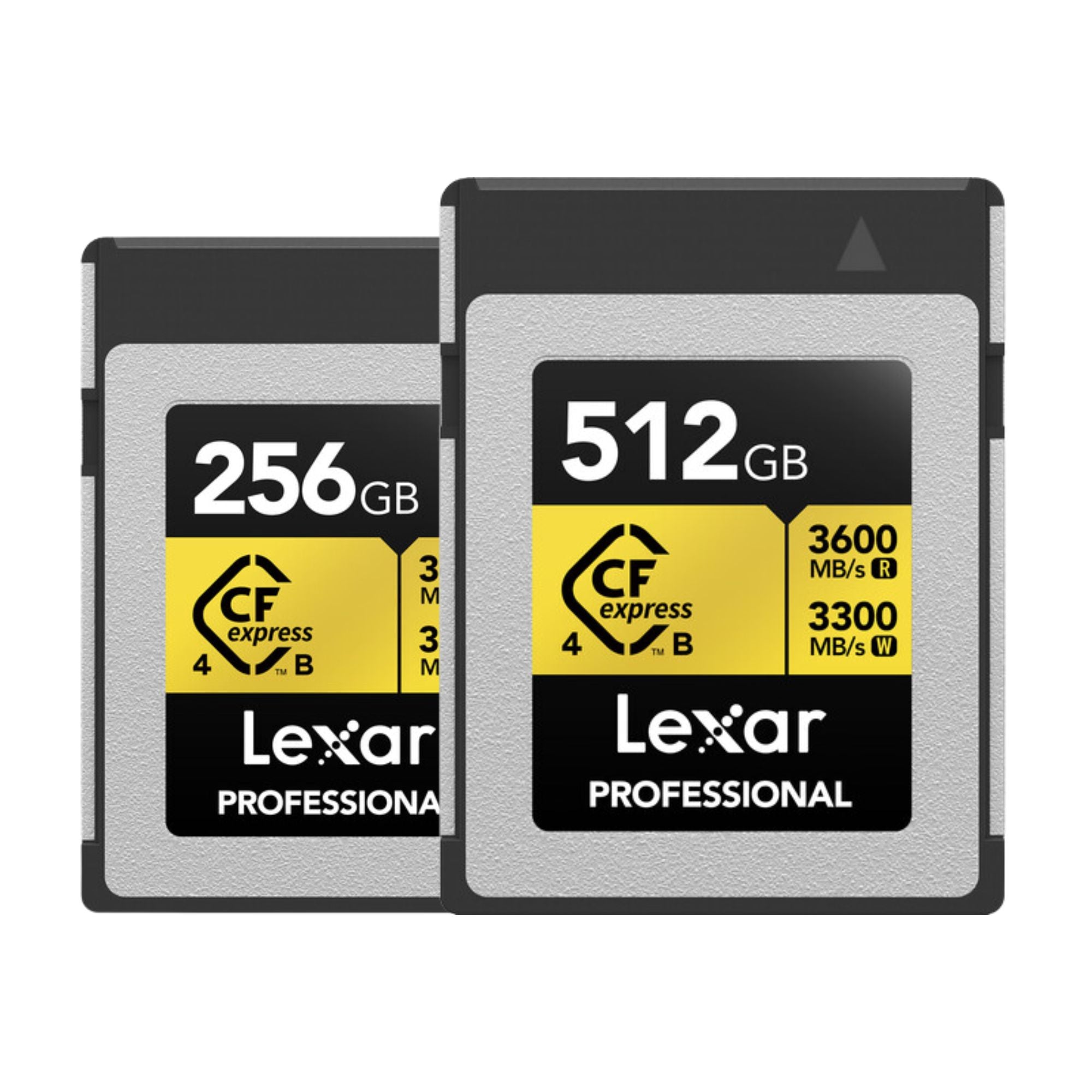 Lexar Type B Gold Memory Card