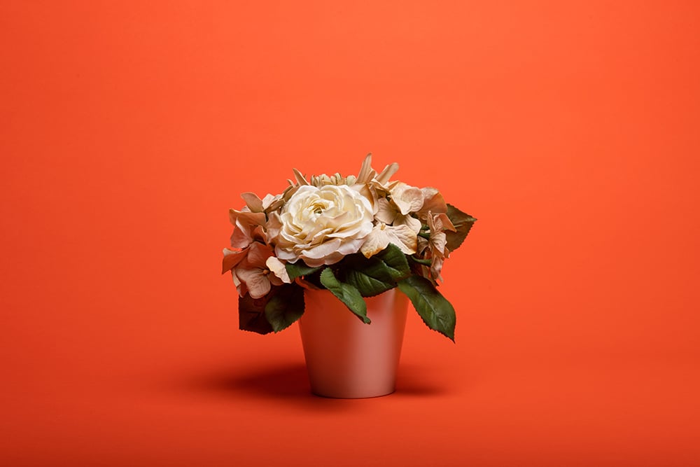 Promage BRIGHT ORANGE PM-PB39 Seamless Background Paper 2.72m x 10m