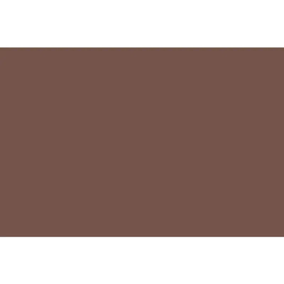 MIRCOPRO BACKDROP PAPER 2.75*11M DS2108 CAFFE/BROWN