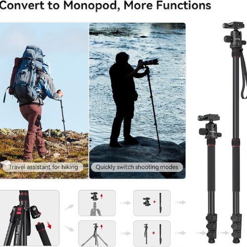 SmallRig CT-20 Aluminum Tripod with Ball Head 3474C