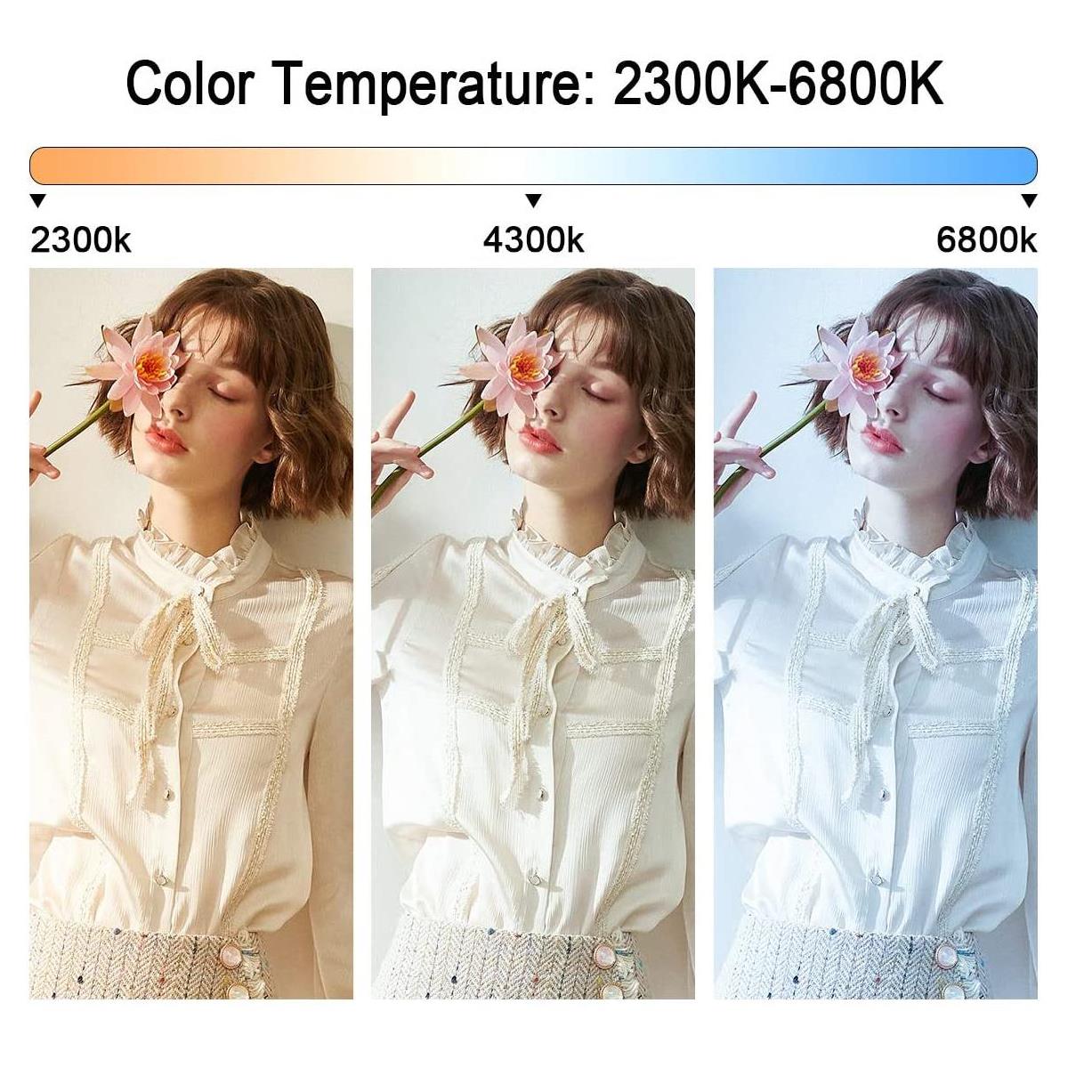 GVM 2 Pack LED 480LS-B2L KIT Video Lighting Kits with APP Control, Bi-Color