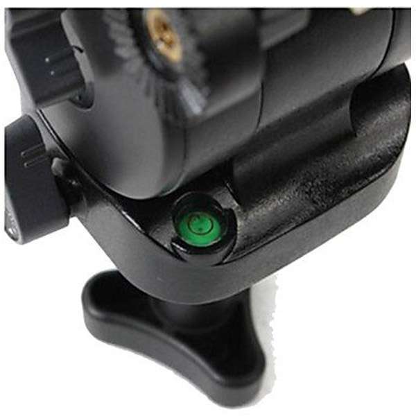 Diat Professional Tripod - A203FTVP40P