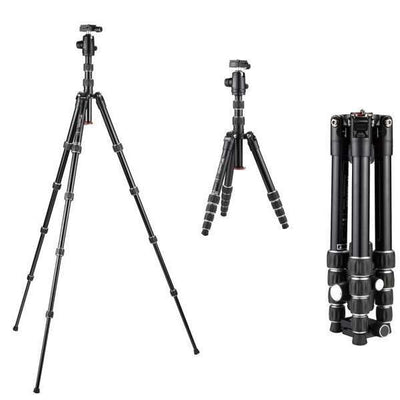Weifeng-Wt-6615