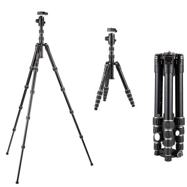 Weifeng-Wt-6615