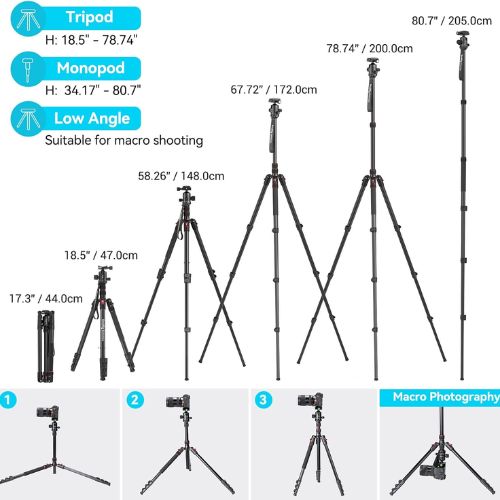 SmallRig CT-20 Aluminum Tripod with Ball Head 3474C