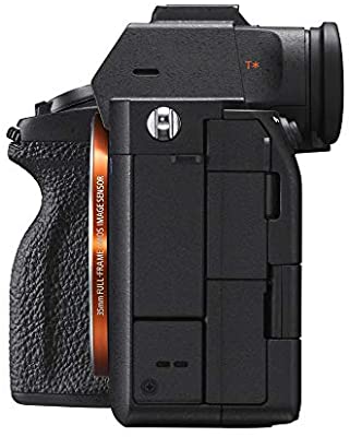 Sony a7S III Mirrorless Camera