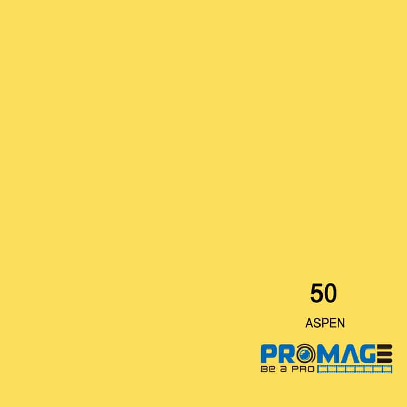 Promage ASPEN PM-PB50 Seamless Background Paper 2.72m x 10m