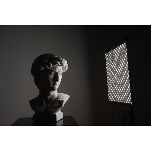 Godox FL150R Flexible LED Light (11.8 x 47.2")