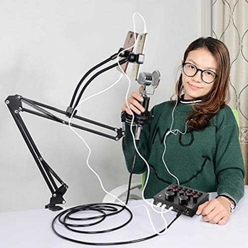 Promage PROFESSIONAL CONDENSER MICROPHONE WITH SOUND CARD PCM-150