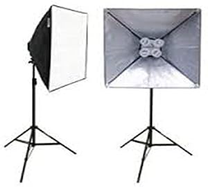FARSEEING FSH4KIT - 2 LIGHT WITH 8LAMP 30W + 2SOFT BOX 50X70" 2 STAND&amp;1BAG