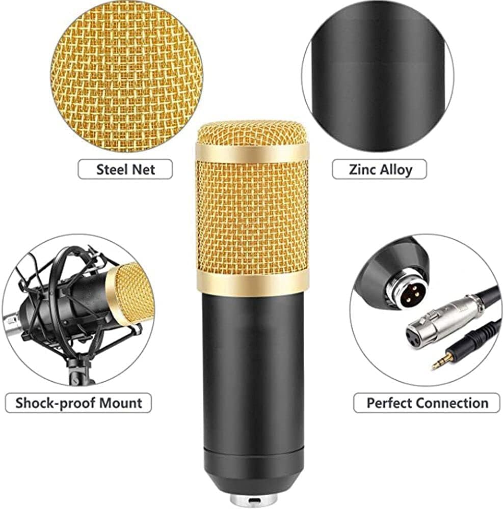 Promage Professional PCM-100 Condenser Microphone Kit for PC Microphone Studio For Computer Karaoke Sound Card Recording Microphone, Auxiliary