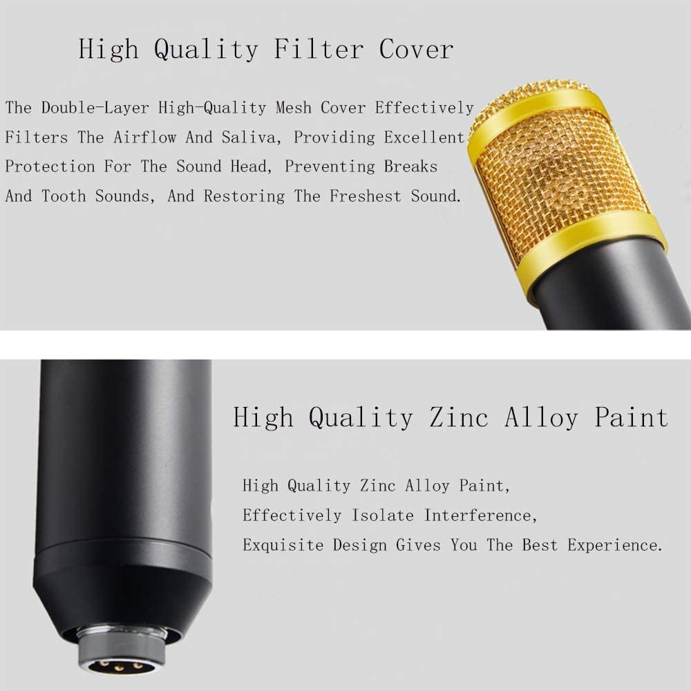 Promage Professional PCM-100 Condenser Microphone Kit for PC Microphone Studio For Computer Karaoke Sound Card Recording Microphone, Auxiliary