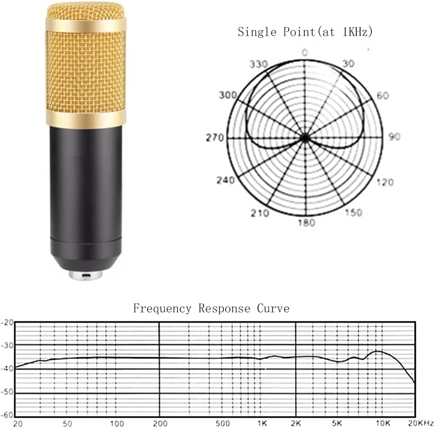 Promage Professional PCM-100 Condenser Microphone Kit for PC Microphone Studio For Computer Karaoke Sound Card Recording Microphone, Auxiliary