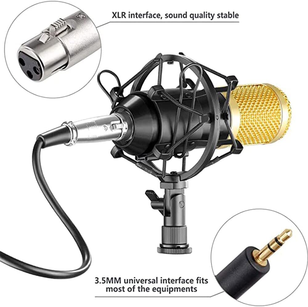 Promage Professional PCM-100 Condenser Microphone Kit for PC Microphone Studio For Computer Karaoke Sound Card Recording Microphone, Auxiliary
