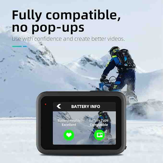 TELESIN GP-BTR-901-D Lithium Battery for GoPro HERO 12/11/10/9