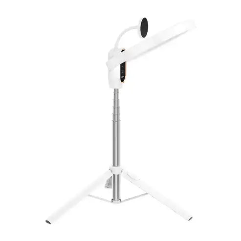 Ulanzi 10-inch Ring Light with Stand and Magnetic Phone Mount (LT030)