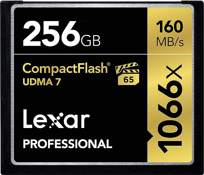 LEXAR 256GB PROFESSIONAL COMPACTFLASH CARD