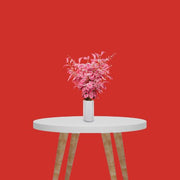 PROMAGE Seamless Multi-Color Background Paper (2.72 m x 11 m) - Begonia Red (PM-PB191)