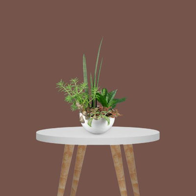 Mircopro Backdrop Paper (2.75 m  x 11 m) - Caffe/Brown (DS2108)