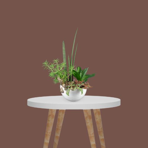 Mircopro Backdrop Paper (2.75 m  x 11 m) - Caffe/Brown (DS2108)
