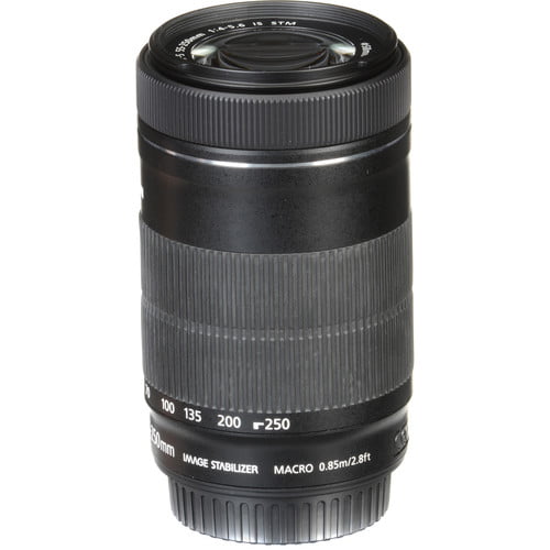 Canon EF-S 55-250mm f/4-5.6 IS STM Lens