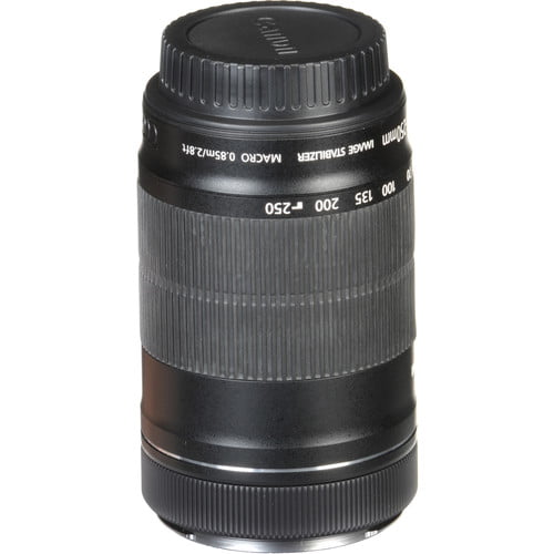 Canon EF-S 55-250mm f/4-5.6 IS STM Lens
