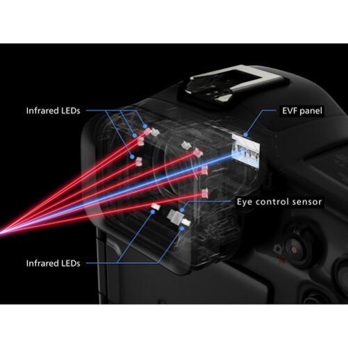 Canon EOS R1 Mirrorless Camera