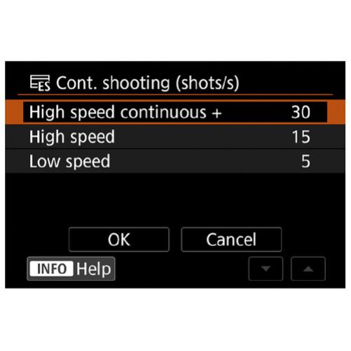 Canon EOS R1 Mirrorless Camera