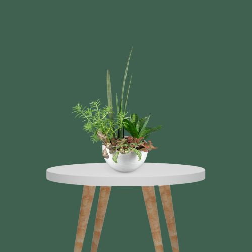 Mircopro Backdrop Paper (2.75 m  x 11 m) - Forest Green (DS2104A)