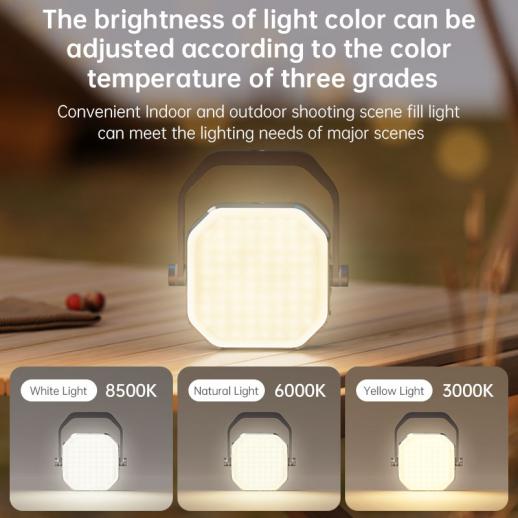 PROMAGE PM-120R DOUBLE-SIDED FILL AMBIENT LIGHT