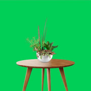PULUZ 3 x 6 m Photography Cloth Backdrop - Green